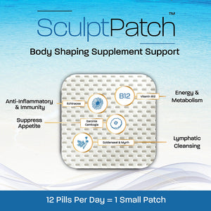 SculptPatch infographic highlighting ingredients for body shaping energy support and appetite control