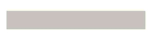 Silagen- Clear Strips (1 x 3") #7333-The Skin Spot